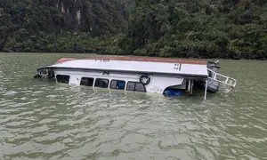 Tàu du lịch, khách sạn Hạ Long 'mất sức' sau bão