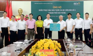 BIDV giảm lãi vay đến 2% cho khách hàng bị thiệt hại bão lũ